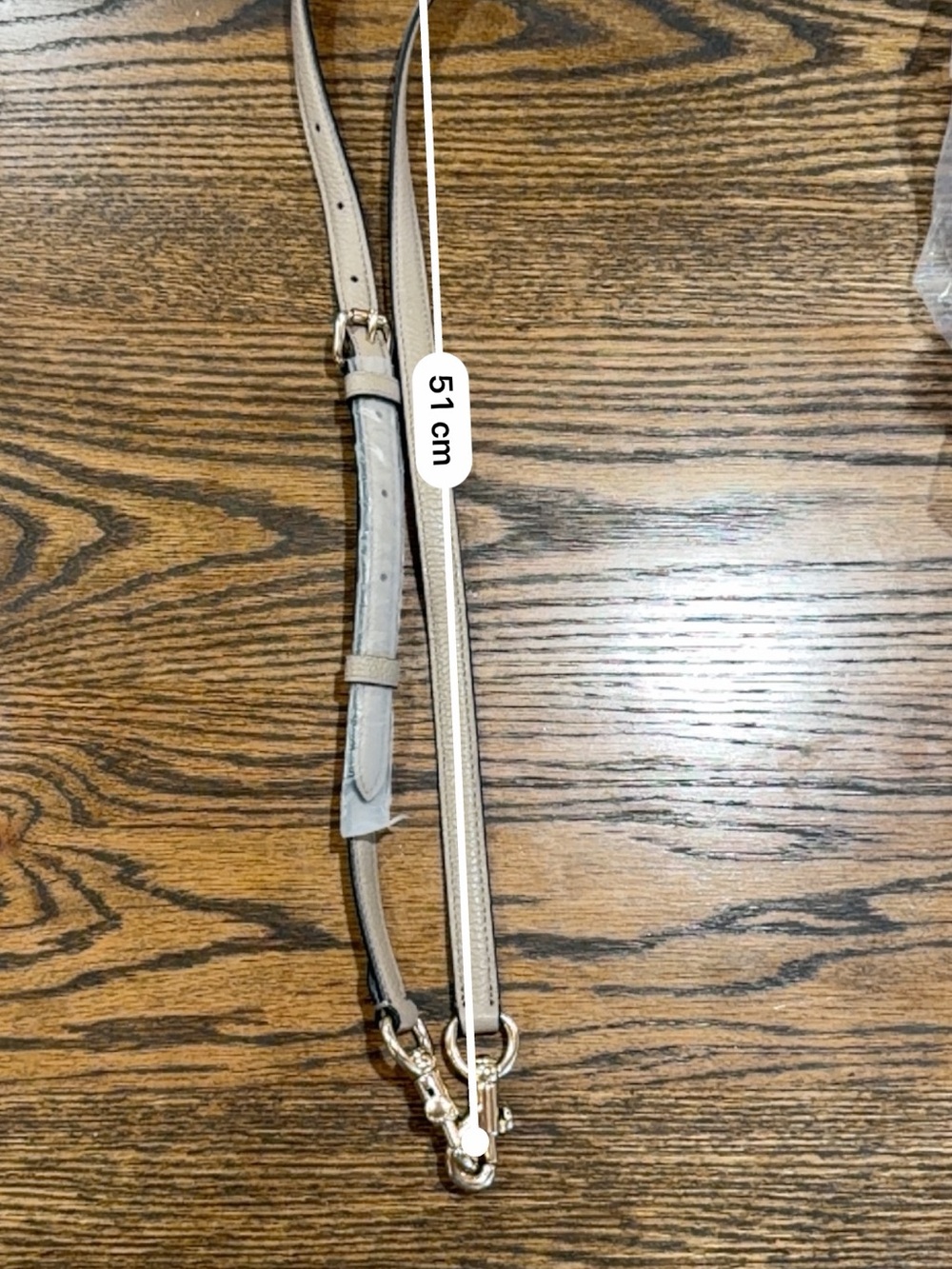 Coach Taupe Leather Crossbody Strap with Gold Hardware - Picture 6 of 6
